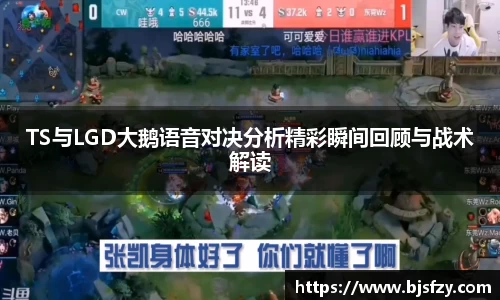 TS与LGD大鹅语音对决分析精彩瞬间回顾与战术解读